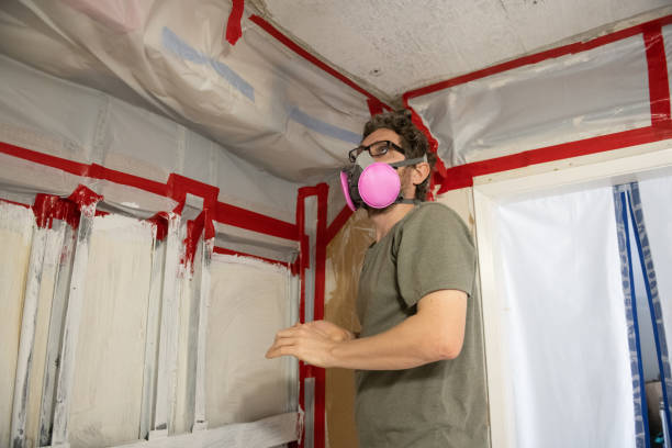 Reliable Edenton, NC Mold Removal Solutions
