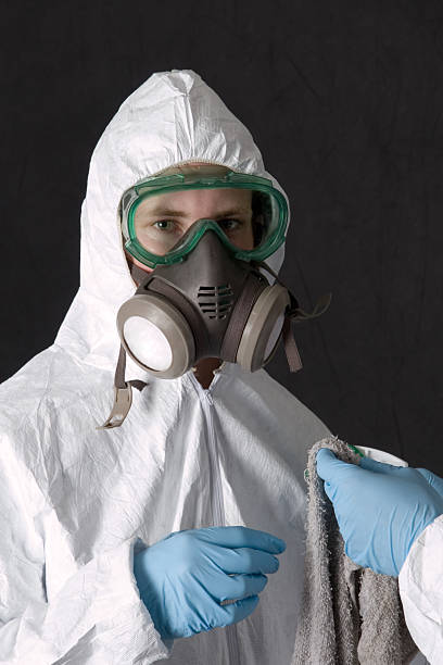 Best Black Mold Removal  in Edenton, NC
